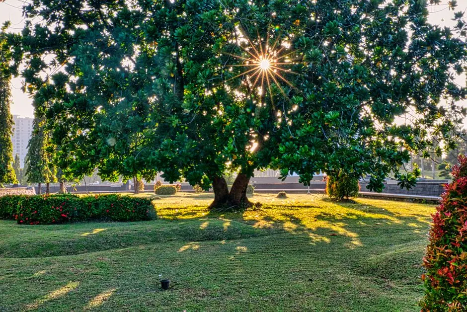Greens & Outdoors at RUNWAL MEADOWS, Kanjurmarg East, Mumbai