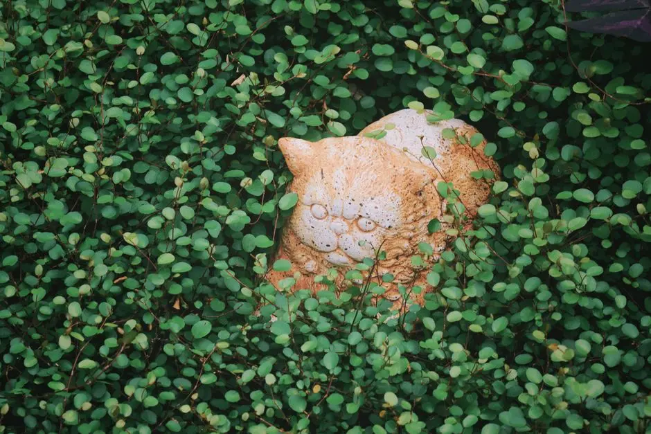 Greens & Outdoors at RUNWAL CODENAME FOREVERGREEN, Kanjurmarg East, Mumbai