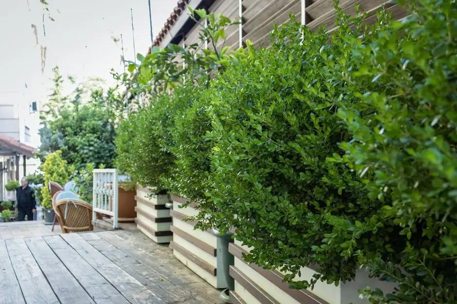 Greens & Outdoors at RUNWAL 7 MAHALAXMI, Mumbai