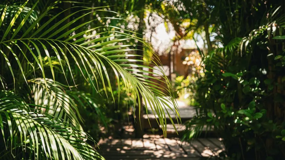 Greens & Outdoors at RUNWAL AVENUE, Kanjurmarg East, Mumbai