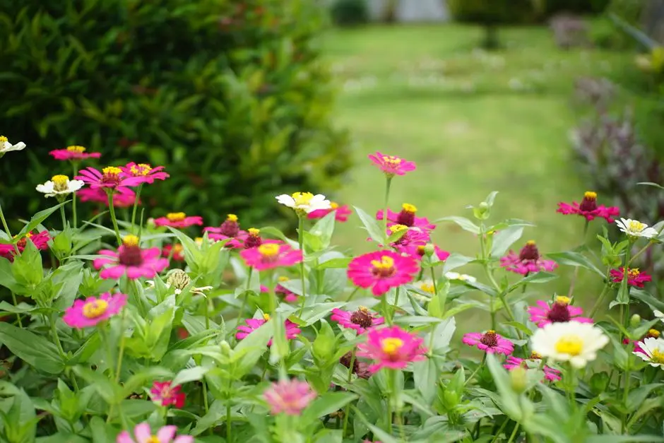Greens & Outdoors at RUNWAL CODENAME NEW BEGINNINGS, Anand Nagar, Pune