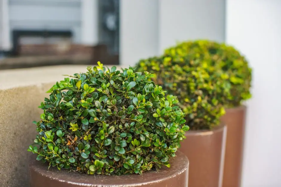 Greens & Outdoors at RUNWAL VIKHROLI, Vikhroli East, Mumbai