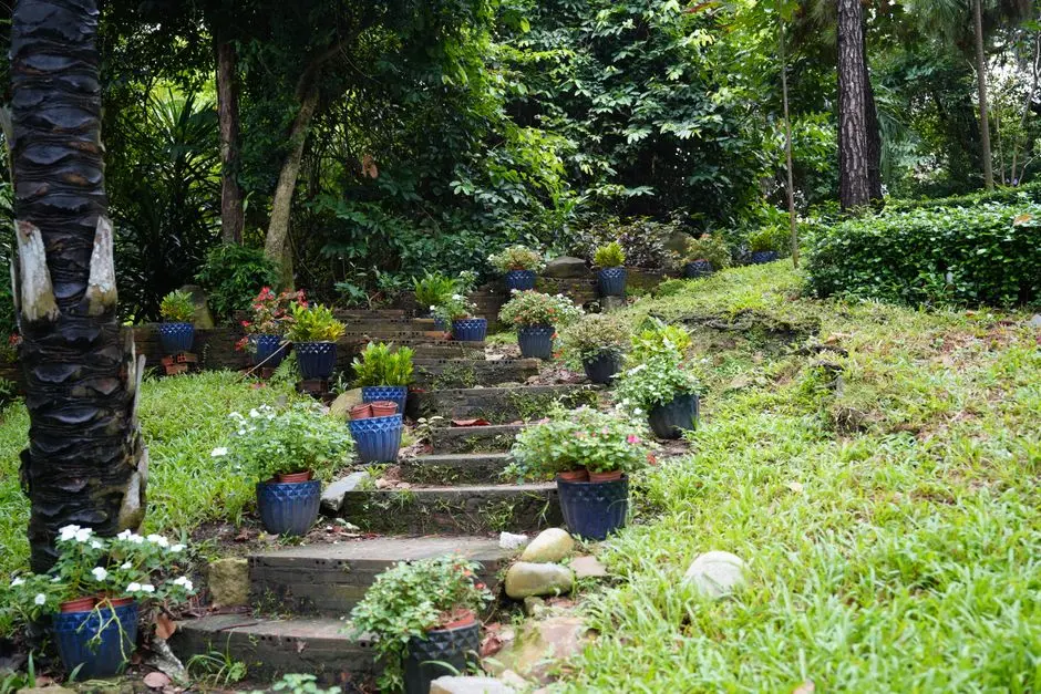 Greens & Outdoors at RUNWAL GOREGAON WEST, Mumbai