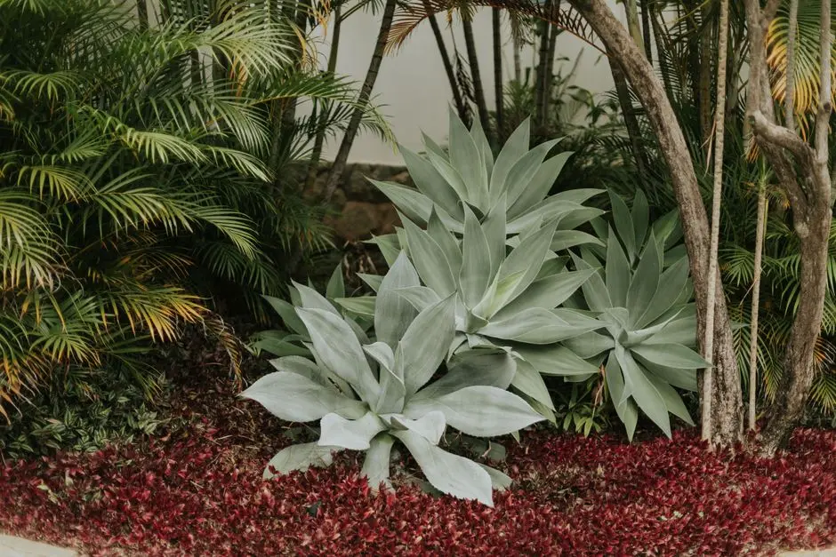 Greens & Outdoors at RUNWAL LOWER PAREL, Mumbai