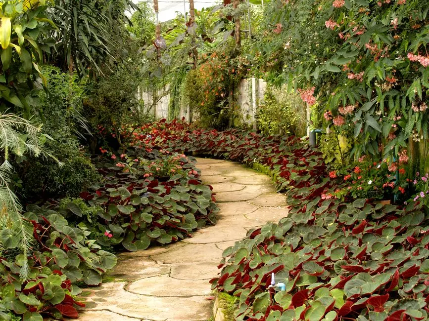 Greens & Outdoors at RUNWAL PRIMROSE, Dombivli East, Dombivli