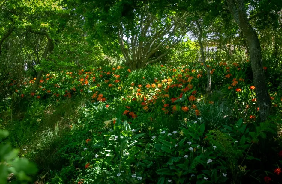 Greens & Outdoors at RUNWAL SAFAL PARK, Collector Colony, Chembur, Mumbai