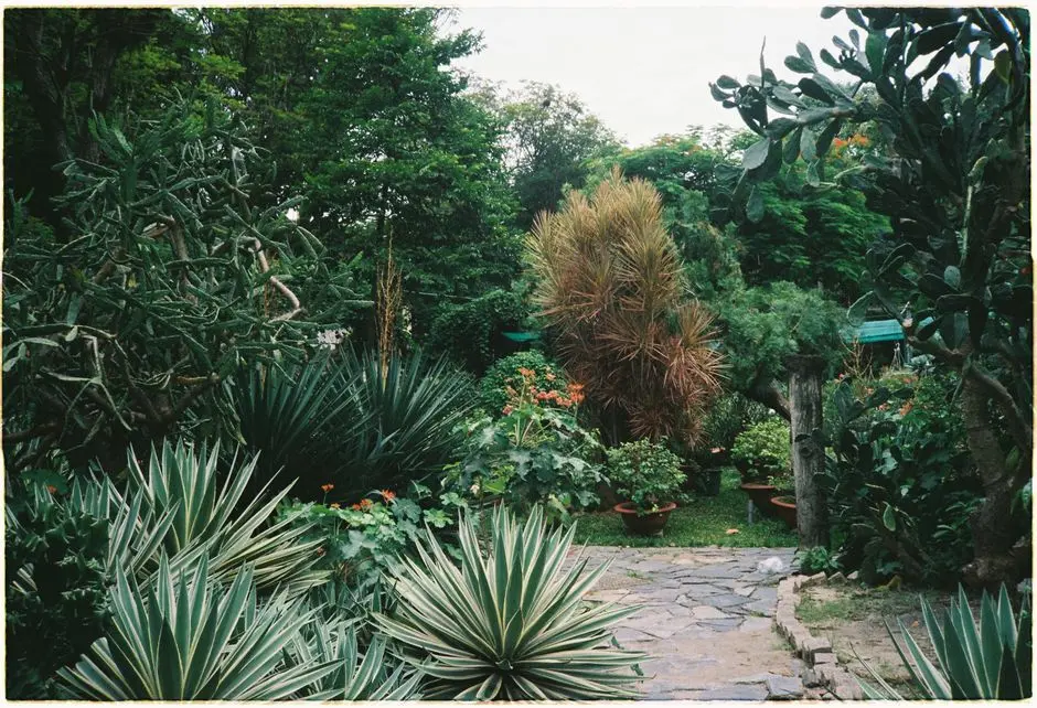 Greens & Outdoors at RUNWAL BLISS DIVINE, Kanjurmarg East, Mumbai